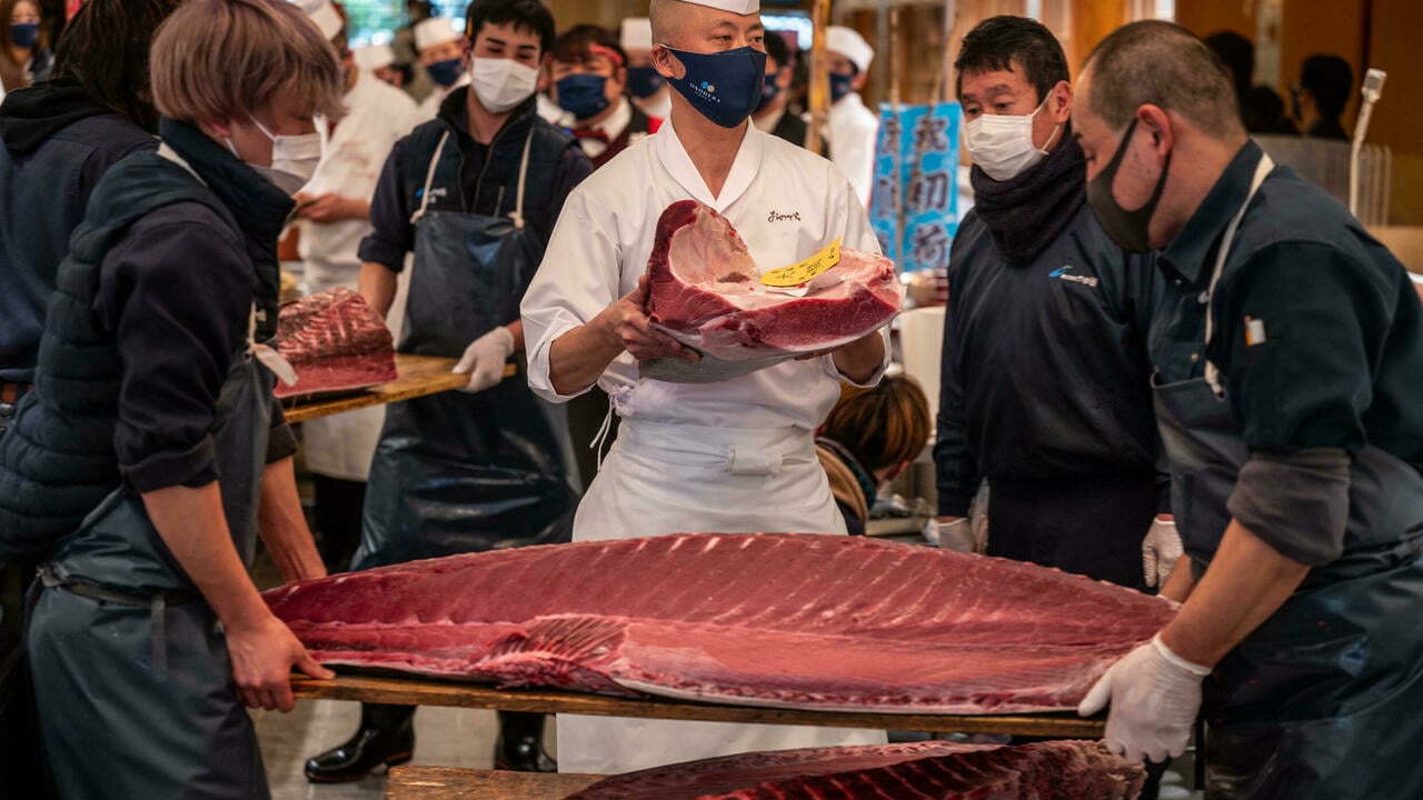 تراجع المبلغ المدفوع في أول مزاد خلال السنة في سوق تويوسو للأسماك في العاصمة اليابانية