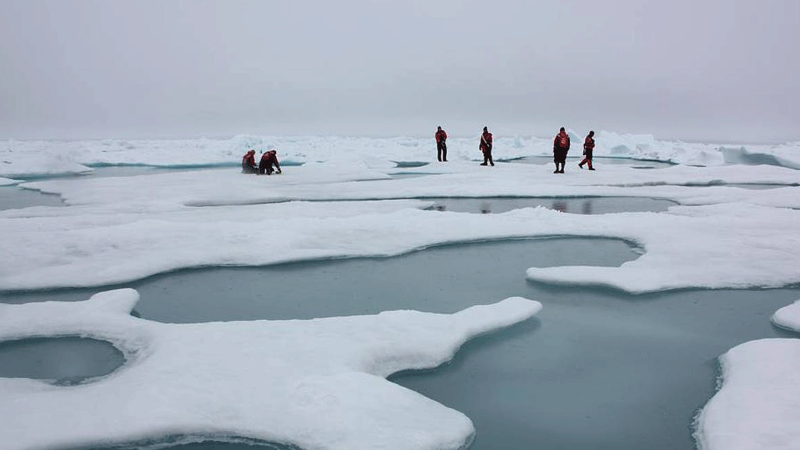 علماء حذروا من الاحترار المناخي مع بدء ذوبان الجليد البحري في القطب الشمالي في بحر تشوكشي. صورة للبرك الذائبة نشرتها وكالة ناسا في 4 تموز/ يوليو 2010. 