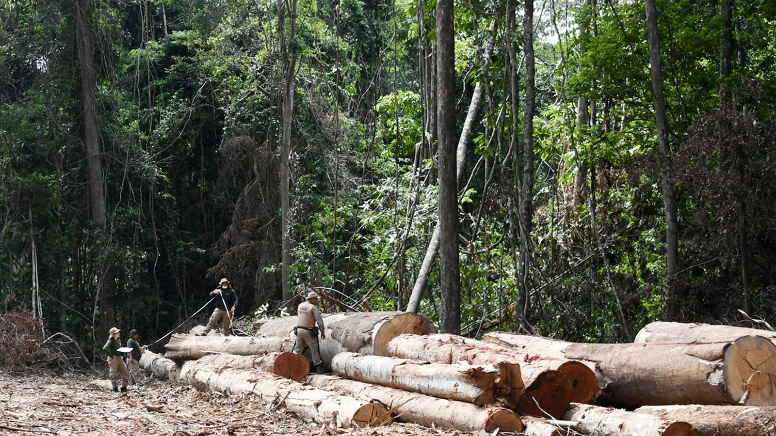 مسؤولون من ولاية بارا، شمال البرازيل، يتفقدون منطقة أزيلت منها الغابات في غابات الأمازون