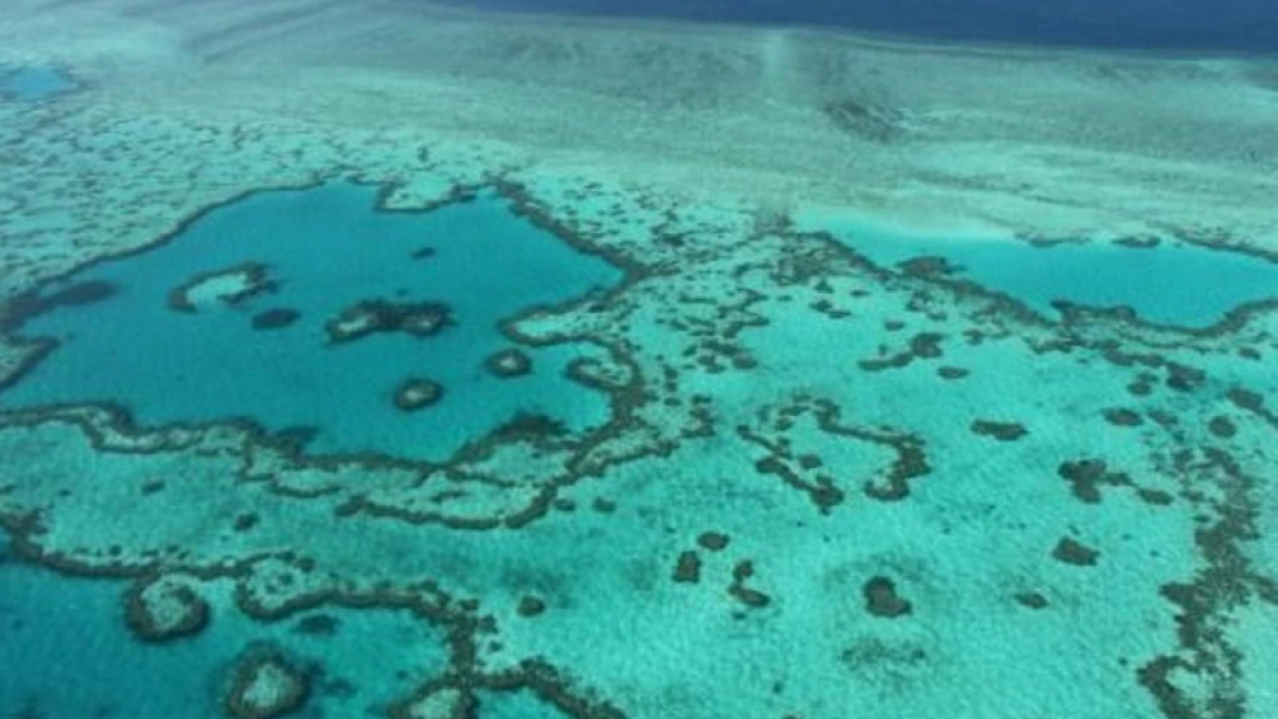  لقطة جوية تظهر حيزا من الحاجز المرجاني العظيم في 20 نوفمبر 2014