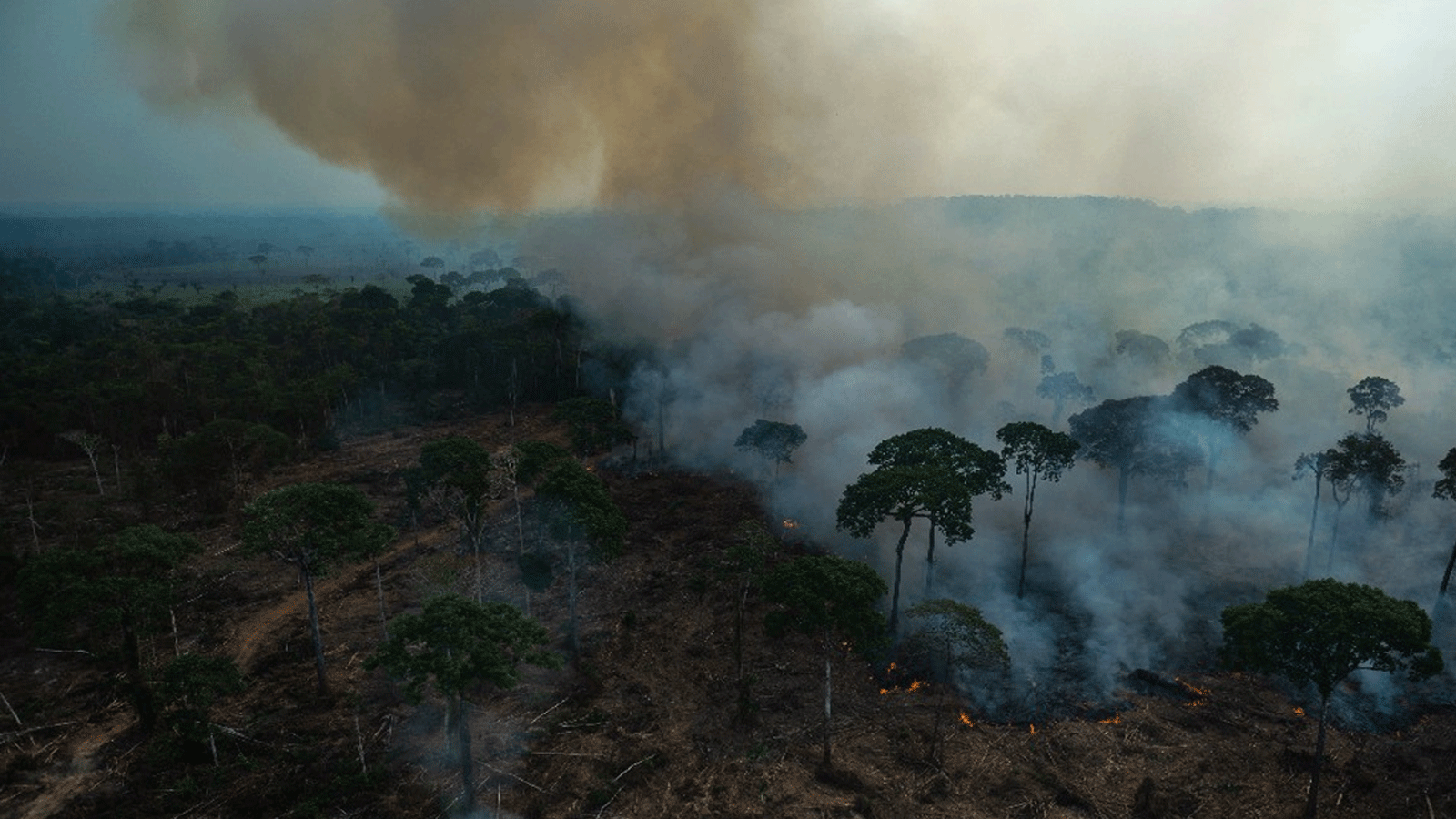 النيران تلتهم المساحات الخضراء في البرازيل