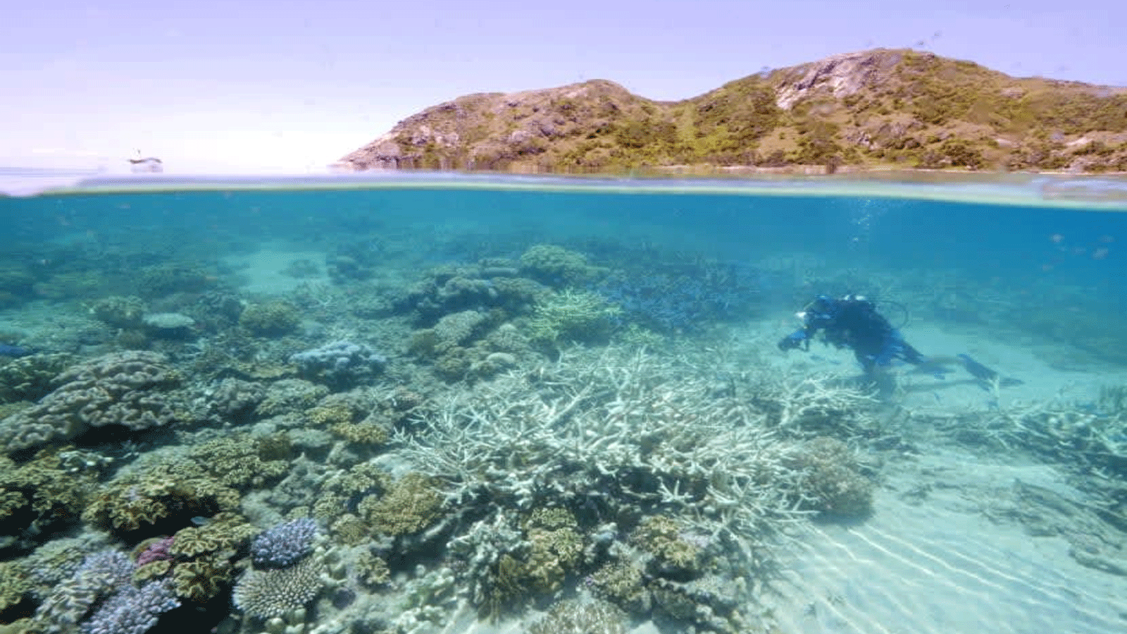  الحاجز المرجاني العظيم في أستراليا يتعرّض للتبييض خلال دورة الطقس في لا نينا، حيث يُتوقع عادةً أن تكون درجات الحرارة أكثر برودة.