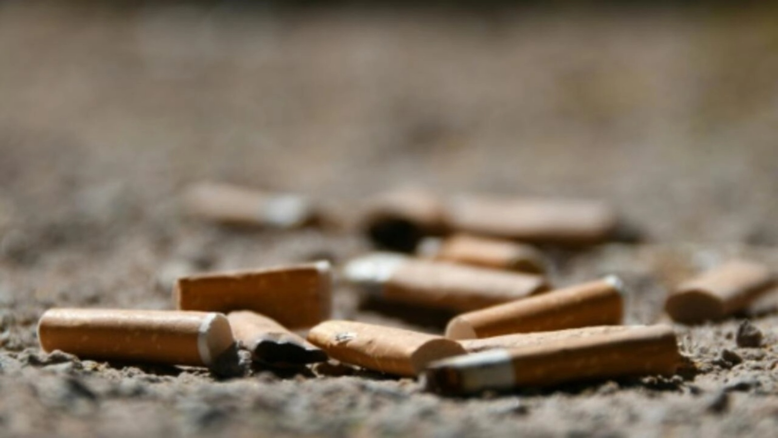 صناعة التبغ تسبب ضرراً بيئياً كبيراً نتيجة التلوث والانبعاثات التي تساهم في تغير المناخ