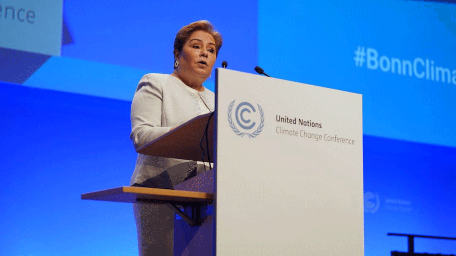 الأمينة التنفيذية لاتفاقية الأمم المتحدة الإطارية بشأن تغير المناخ باتريسيا إسبينوزا(تويتر)