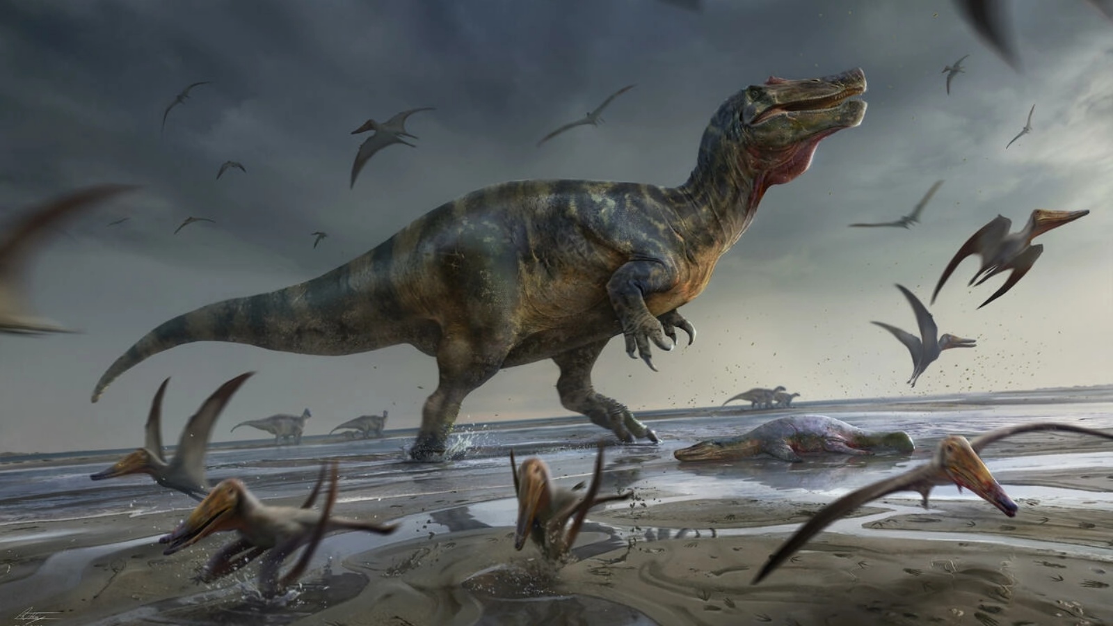 رسم فنان للسبينوصوريد الضخم وايت روك، والذي تم اكتشافه في جزيرة وايت بالمملكة المتحدة
