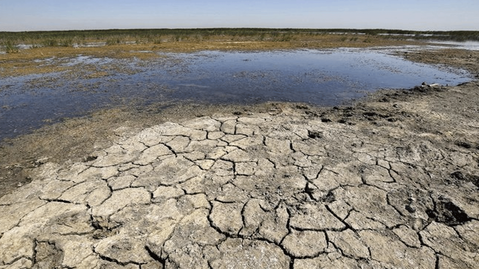  المزارعون والرعاة يعانون نقصاً شديداً في المياه جراء الجفاف العراق