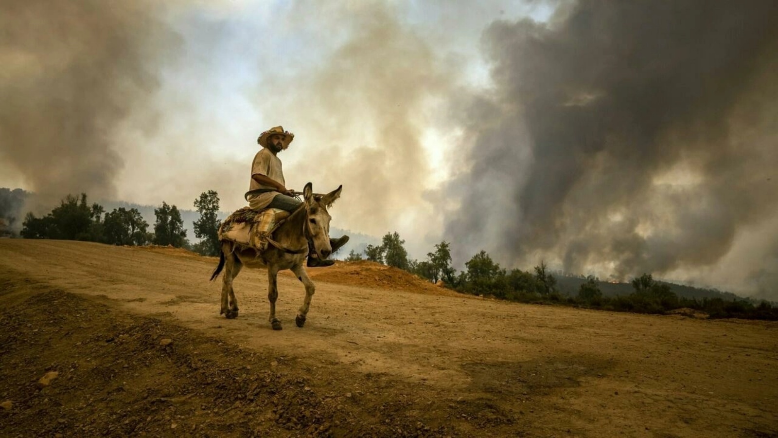 قرويّ يمتطي حمارًا في منطقة تتصاعد منها ألسنة من الدخان جراء موجة حرائق يشهدها المغرب