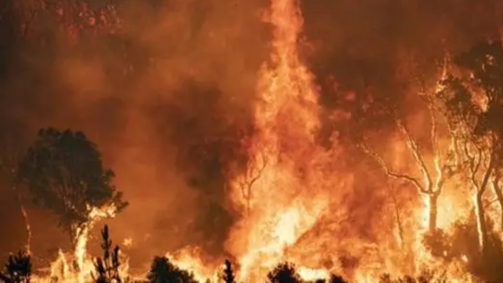 حريق مشتعل في إحدى الغابات في محيط مدينة القصر الكبير في إقليم العرائش بشمال غرب المغرب في 15 يوليو 2022