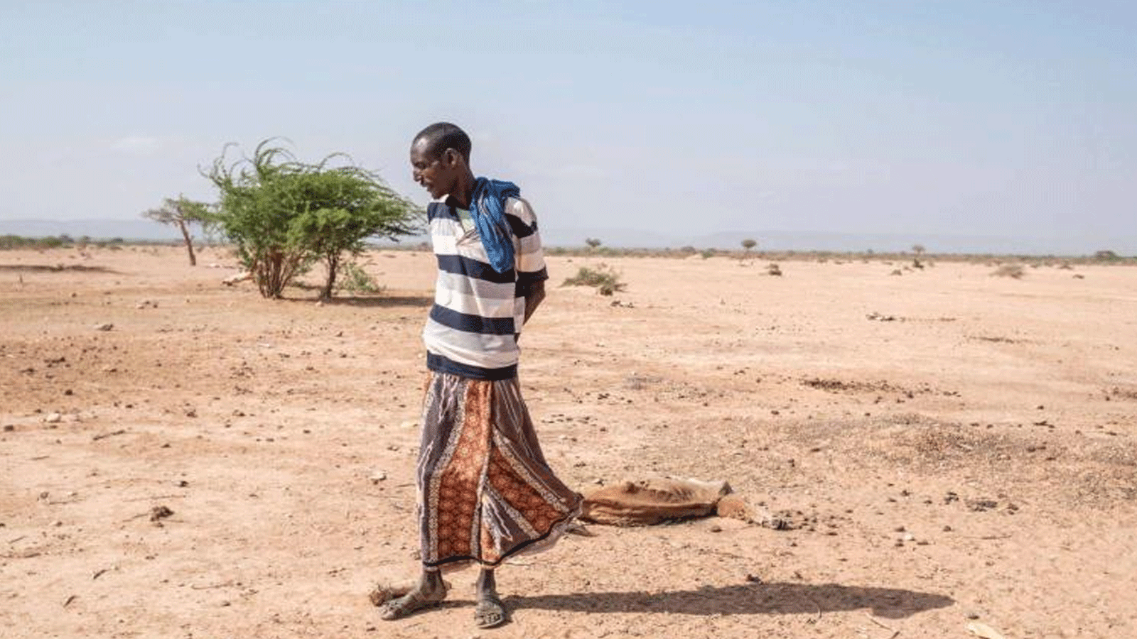 رجل يقف بجانب بقرة ميتة في قرية هارغودودو على بعد 80 كيلومترًا من مدينة غودي بإثيوبيا.