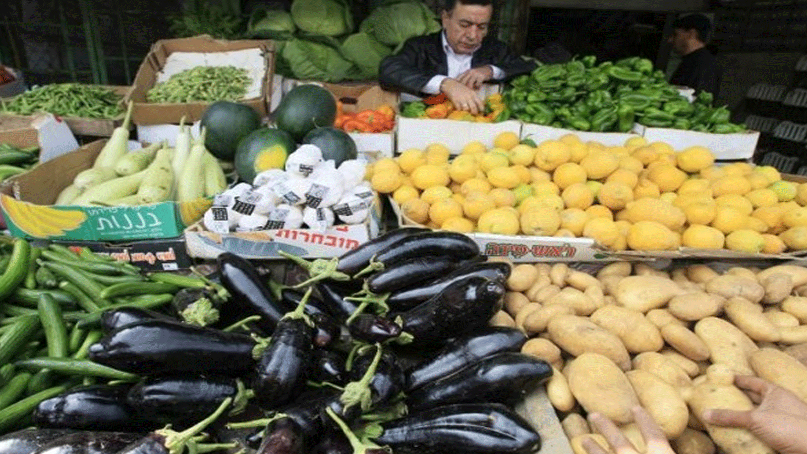 داسة تشير لأهمية قشر الباذنجان الذي يحمل فوائد عدة