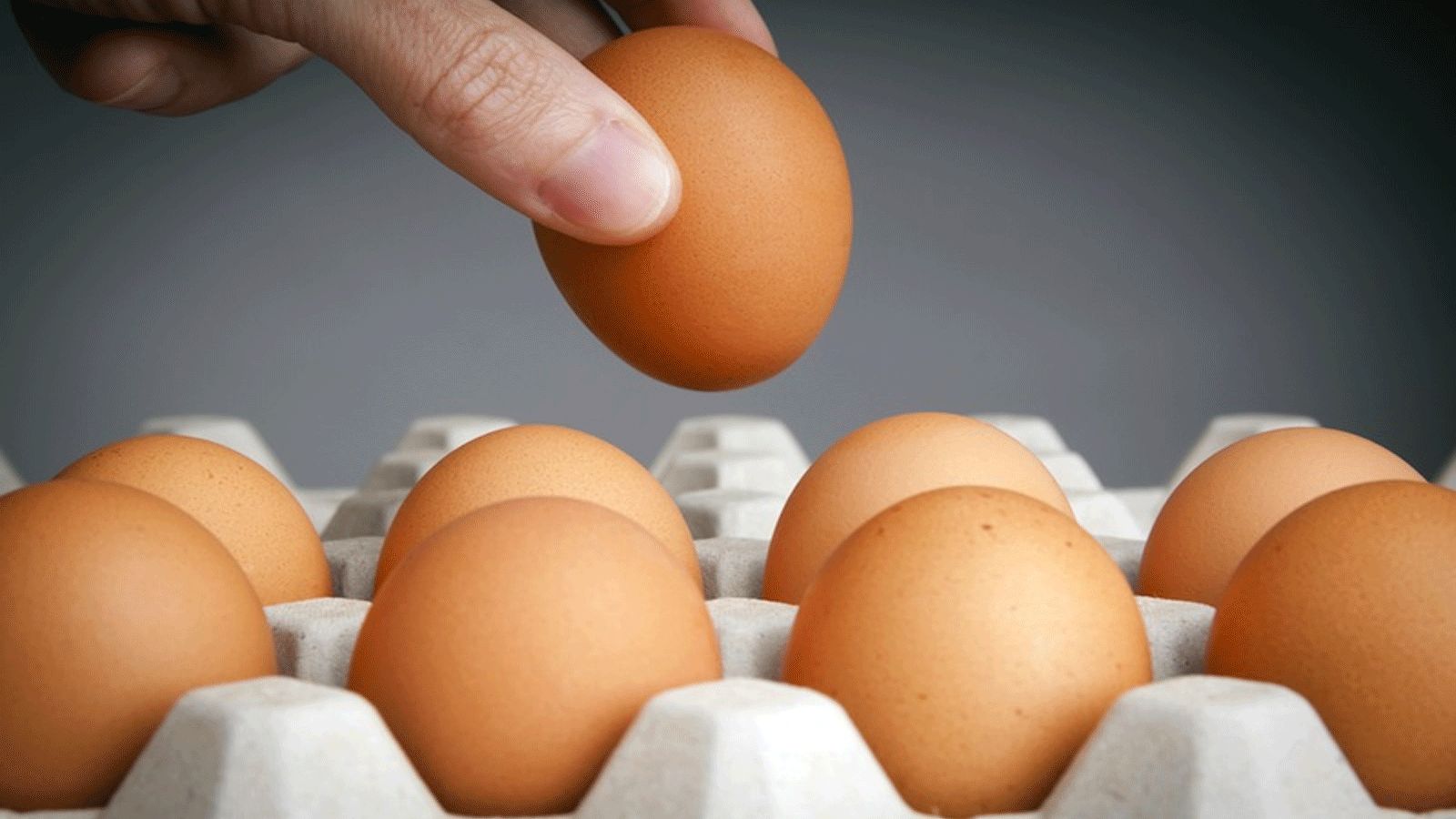 البيض غني بالبروتين ومفيد لوجبة الصباح