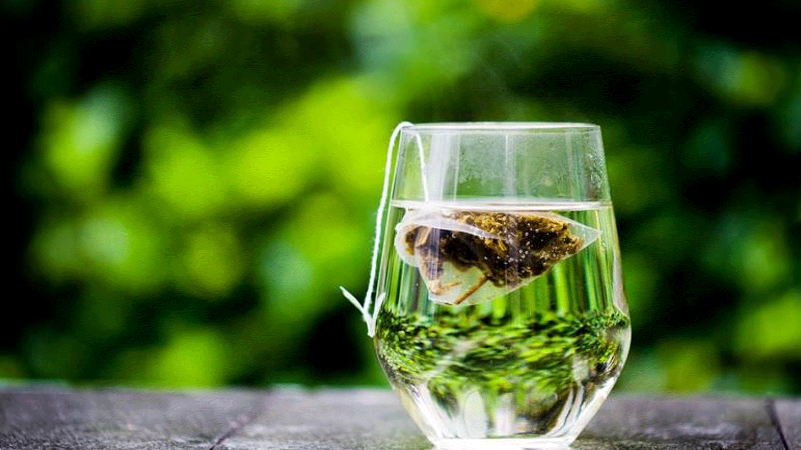 الشاي الأخضر قد المشروب الفائق الأهمية بإمكانية إنقاذ حياة الأشخاص الذين يعانون من اضطرابات نخاع العظام والعديد من الأمراض