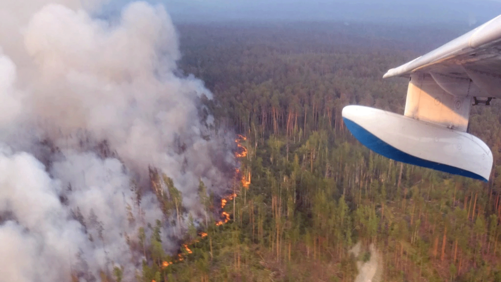 لقطة من حرائق الغابات التي اشتعلت في جميع أنحاء سيبيريا في صيف عام 2019.