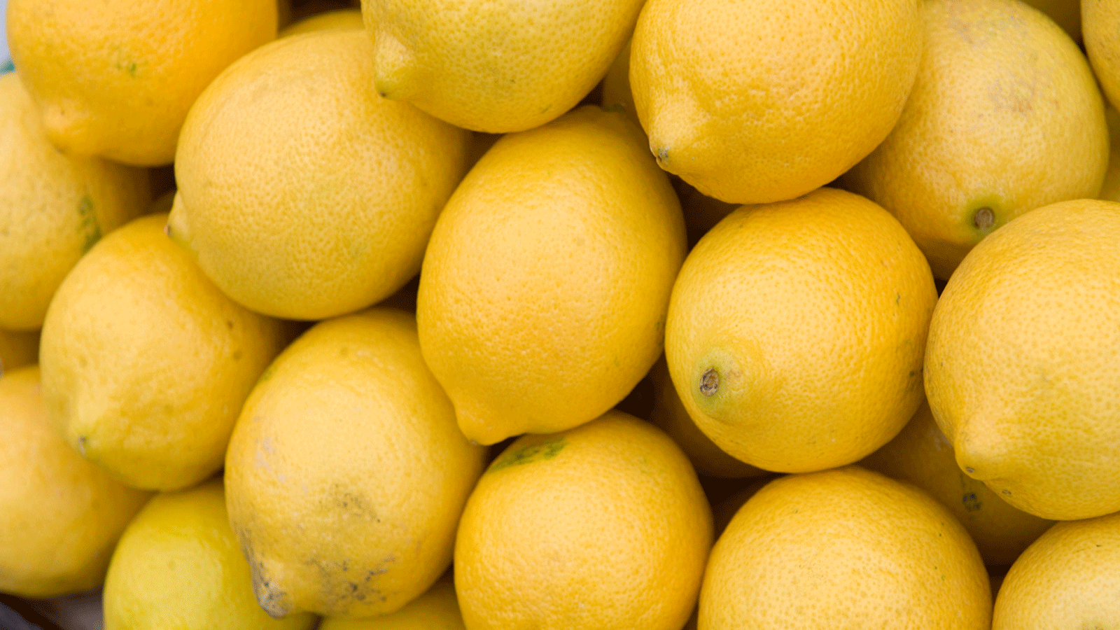 الليمون الحامض فاكهة حمضية غنية بالفيتامينات ومتعددة الفوائد لصحة الجسم