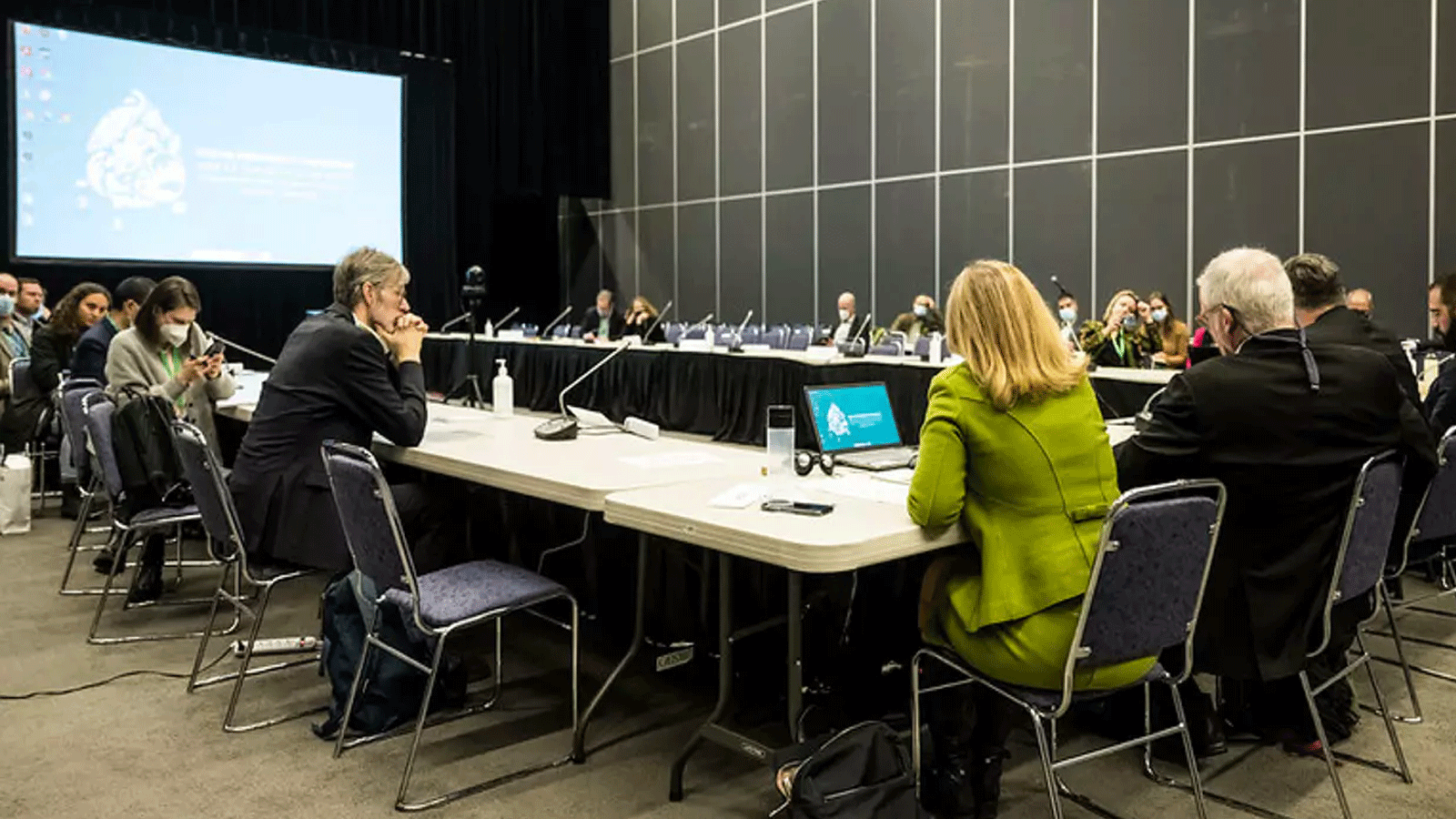 جلسة مفاوضات منفصلة في مونتريال هذا الأسبوع. (التنوع البيولوجي للأمم المتحدة)