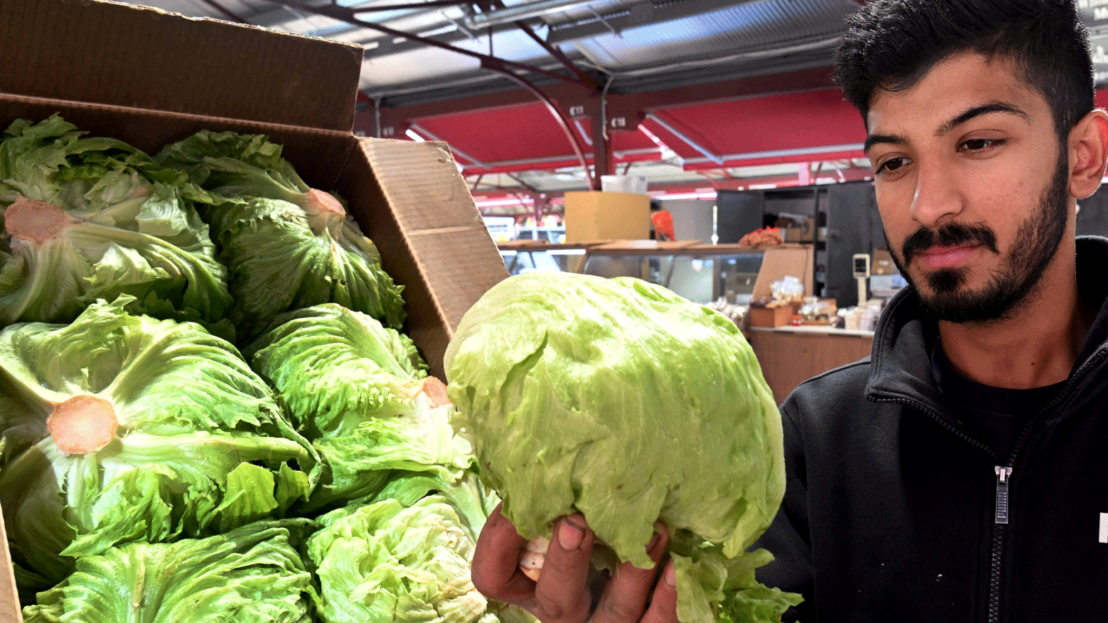 ما هي فوائد الملفوف الأبيض؟