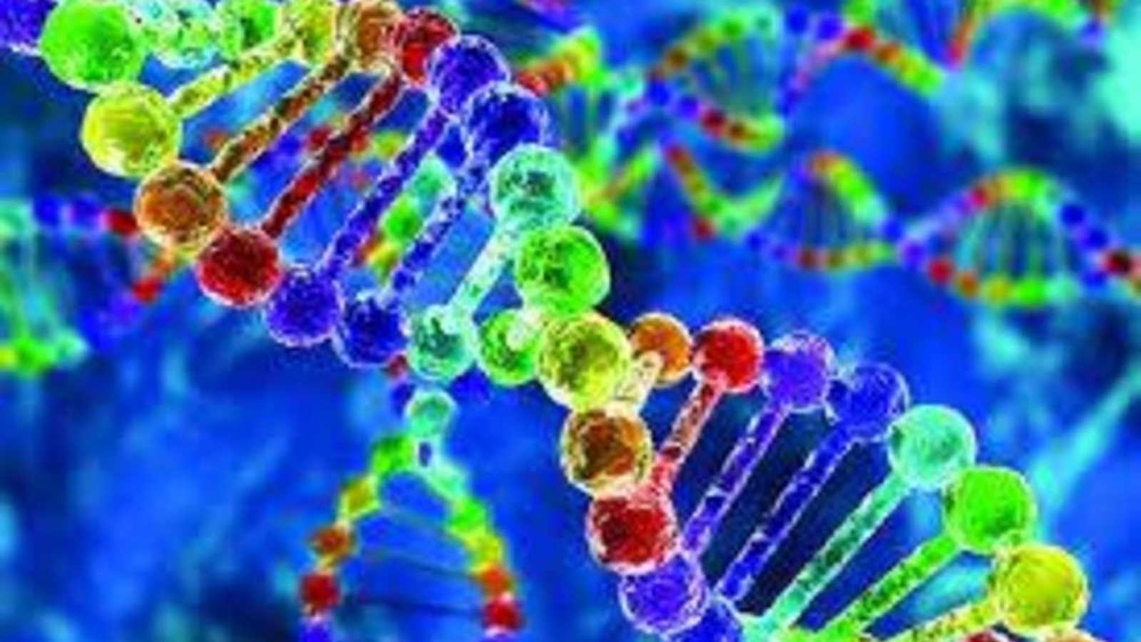 علم الوراثة يتتبع 10 آلاف عام من تطور مناعتنا