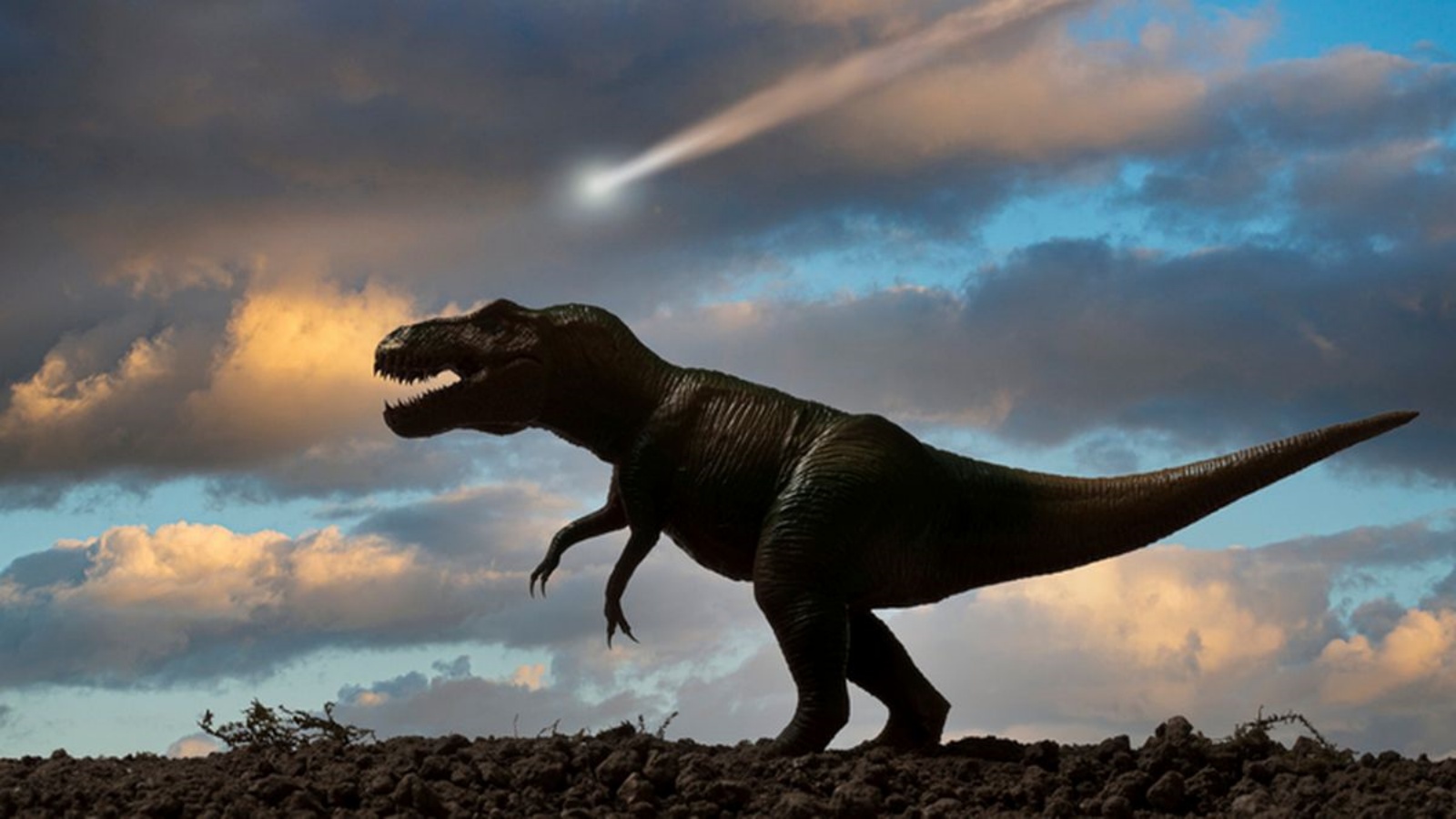 اكتشف باحثون في علم الحفريات، بقايا أربعة ديناصورات في منطقة ودي 