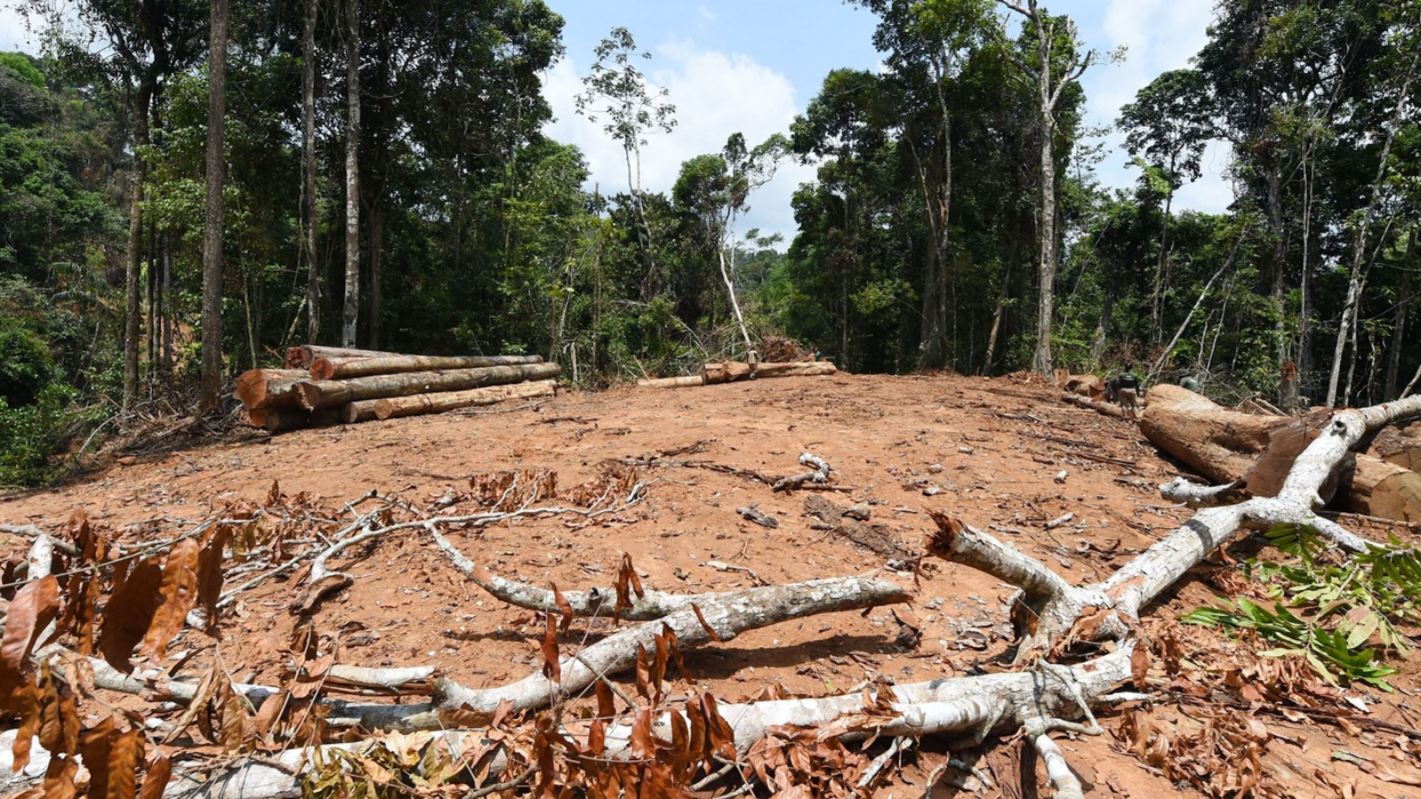 منطقة أزيلت منها الأشجار من غابات الأمازون المطيرة في بلدية باكاجا. بارا، البرازيل، في 22 سبتمبر 2021