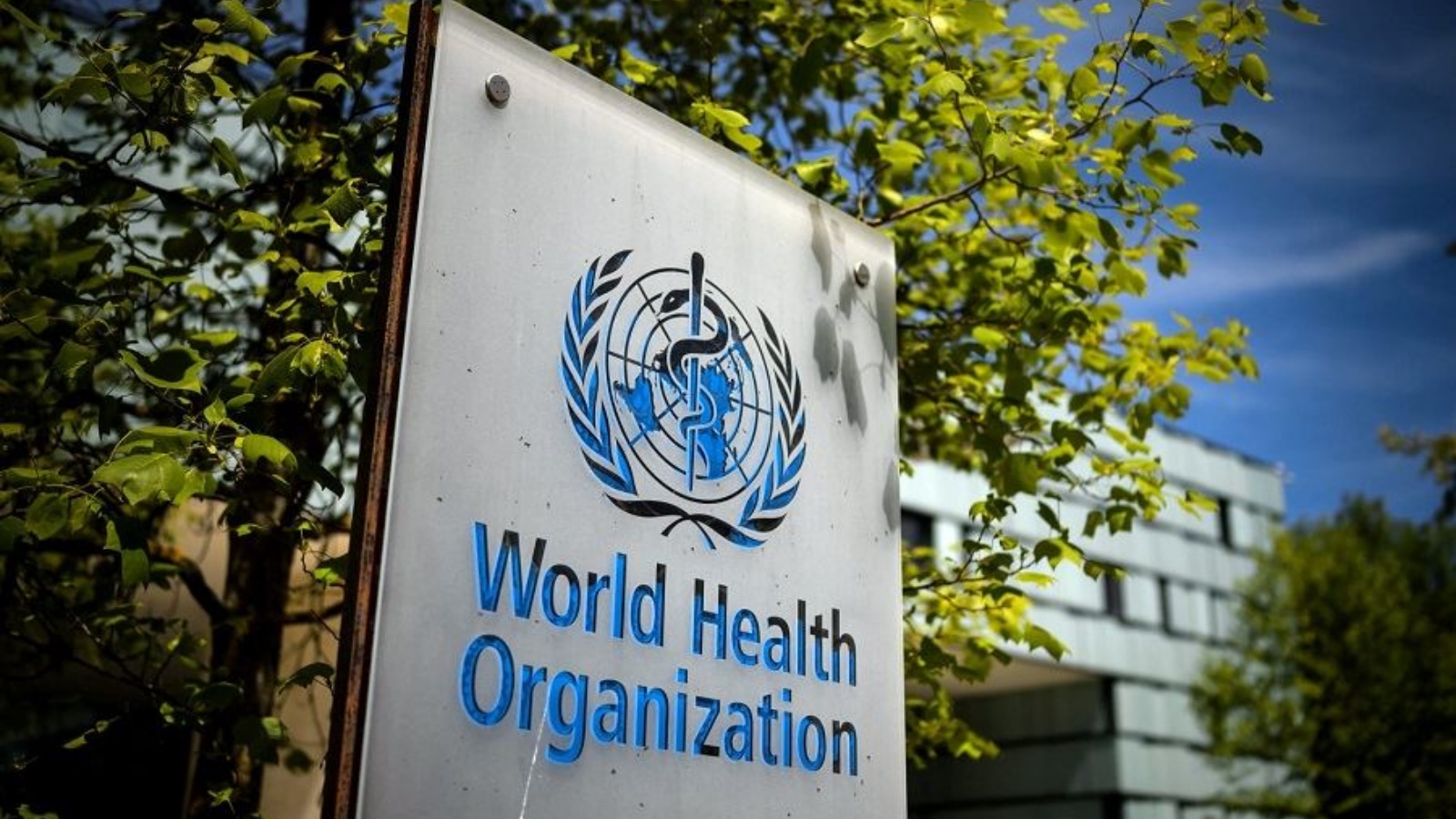 منظمة الصحة العالمية تدعو إلى التحرك لمكافحة الأمراض المدارية المُهملة