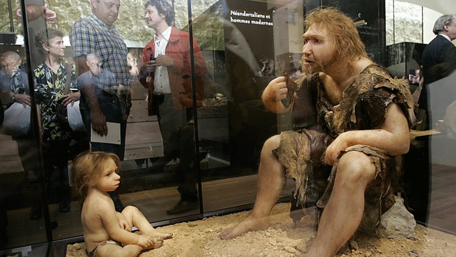 صورة تم التقاطها في 19 يوليو/ تموز 2004 لزوار متحف ما قبل التاريخ في إيزيس دي تاياك وهم ينظرون أحد أسلاف إنسان نياندرتال