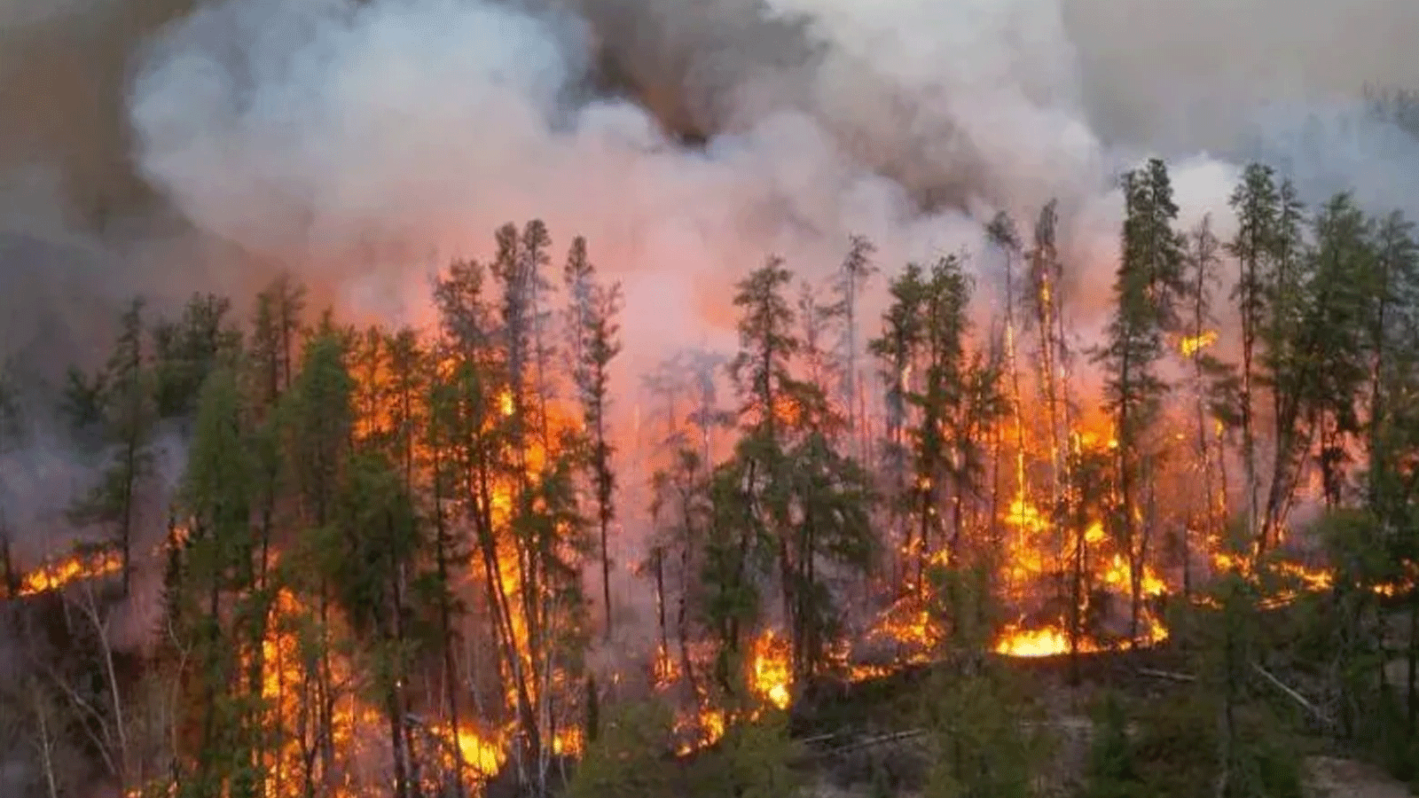 حريق بالقرب من بحيرة كادي في أيار\ مايو 2016(مركز إدارة حرائق الغابات في منطقة شمال غرب أونتاريو)