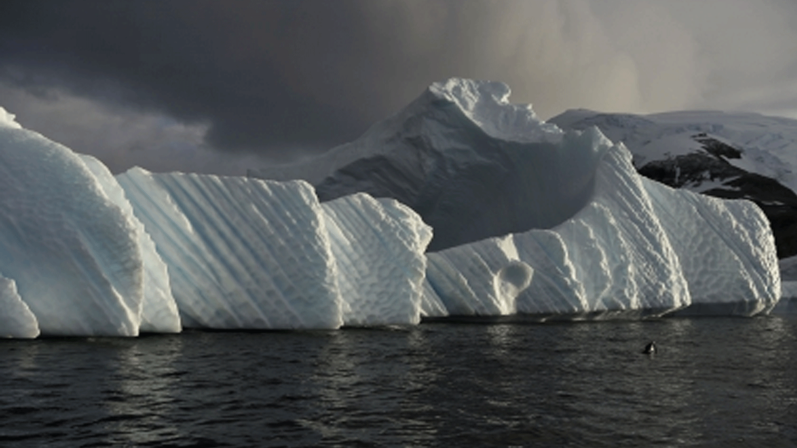 جبال الجليد تذوب بسرعة أكبر مع ازدياد الاحترار المناخي