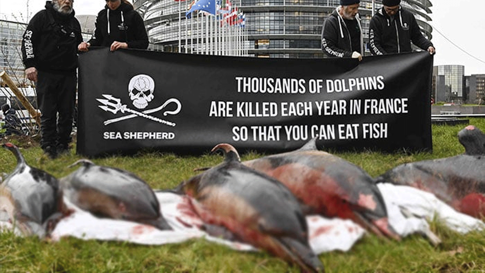 أعضاء من منظمة Sea Shepherd Conservation Society (SSCS) غير الحكومية يحملون لافتة خلف الدلافين الميتة التي تم العثور عليها في البحر خلال مظاهرة للتنديد بالصيد غير الانتقائي أمام البرلمان الأوروبي، في ستراسبورغ، شرق فرنسا. 14 مارس\آذار 2023