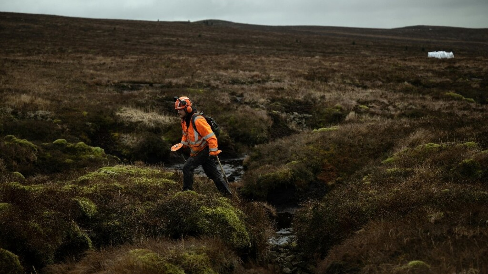 باستخدام نبات الخلنج المزروع، يقوم العمال بالمهمة الشاقة أينما توجد فجوات على التضاريس الشاسعة