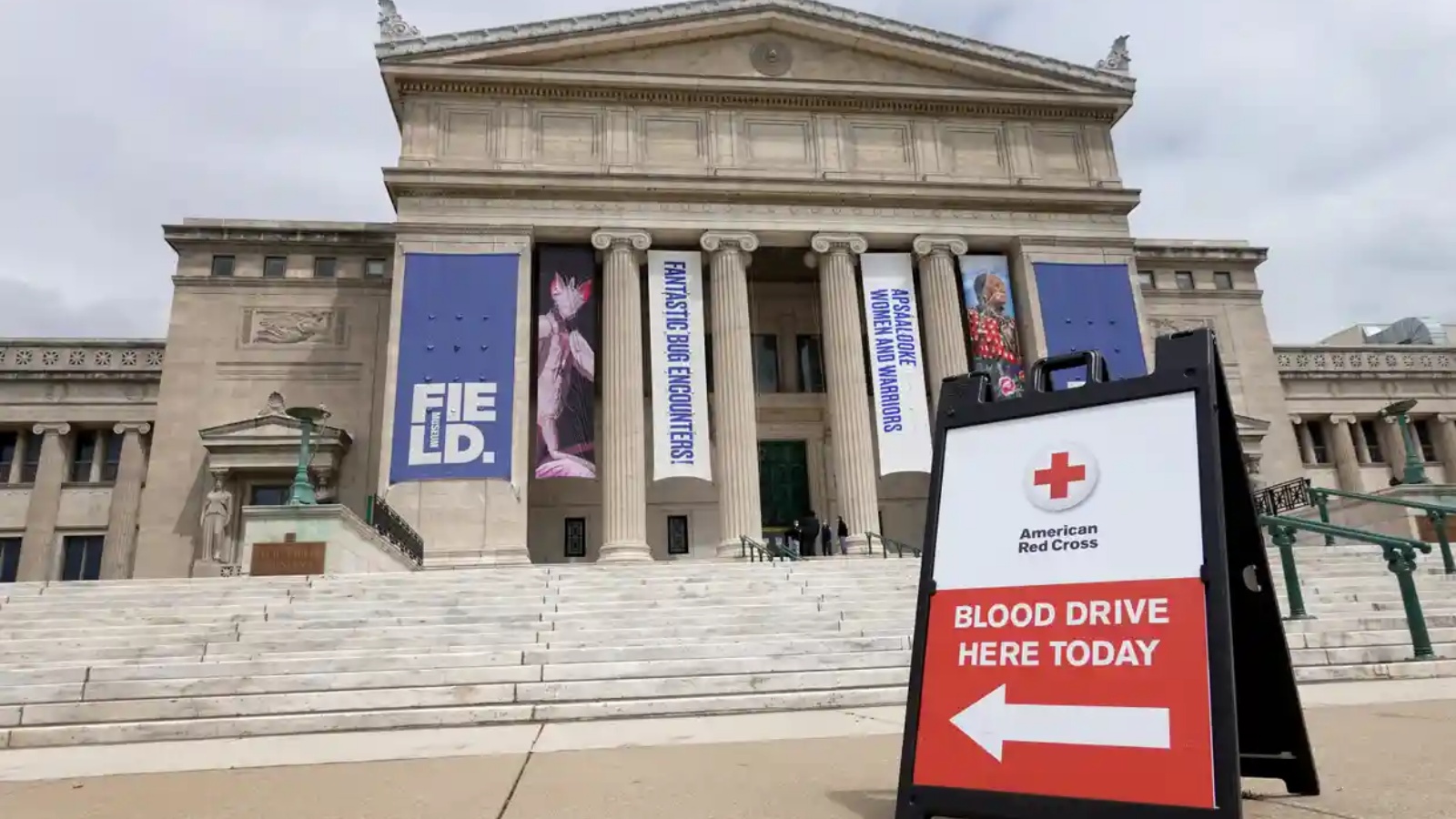 متحف فيلد للتاريخ الطبيعي، شيكاغو، يستضيف حملة التبرع بالدم للصليب الأحمر الأميركي