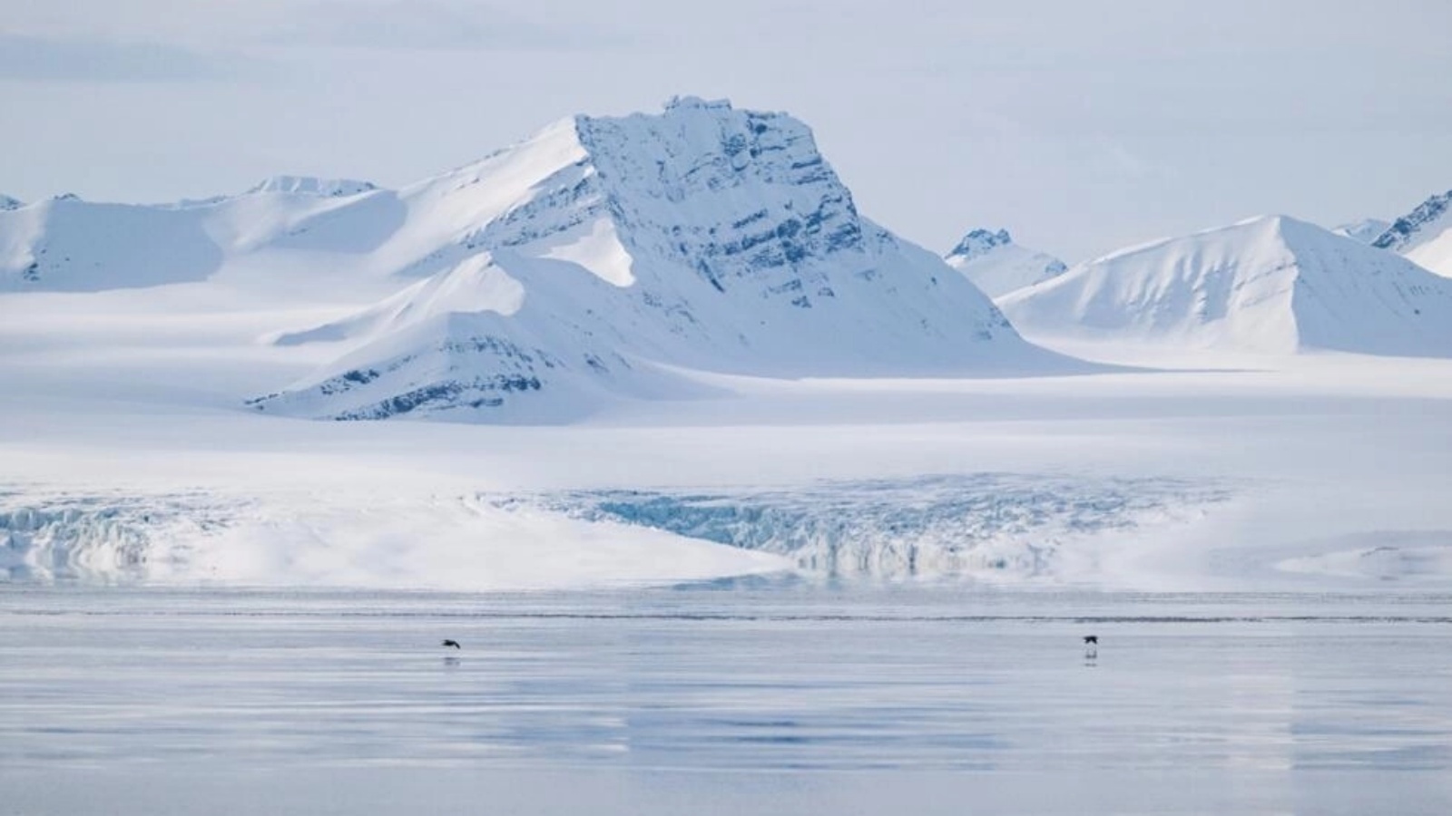 ينتج أرخبيل سفالبارد في شمال النرويج نوى جليدية بعمق 125 مترًا