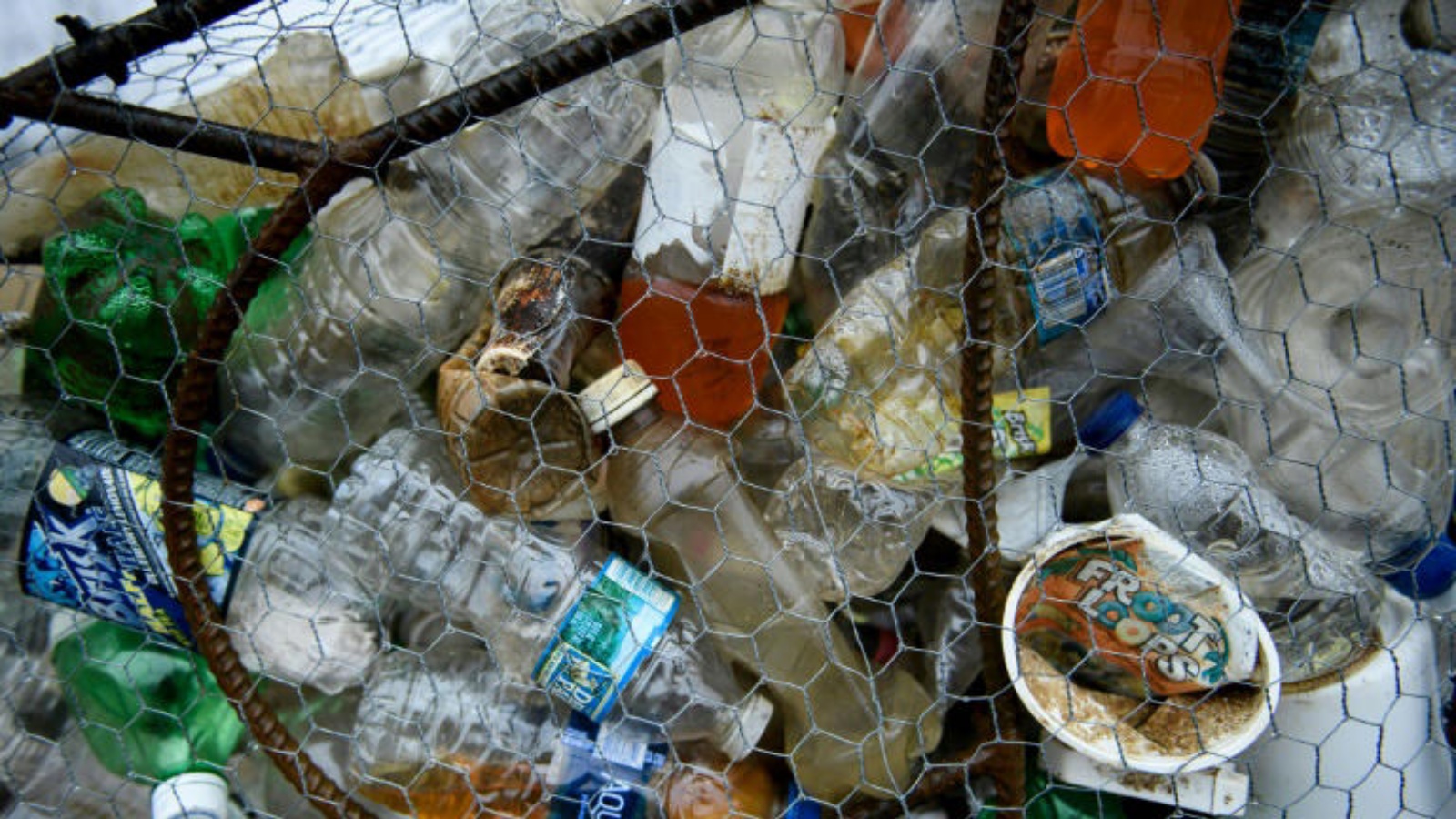 كمية من النفايات البلاستيكية في واشنطن في مارس 2019