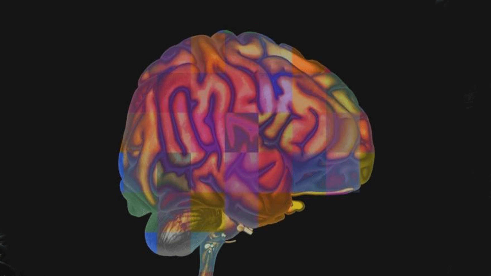 علماء يطورون جهاز فك تشفير يستخدم تصوير الدماغ والذكاء الاصطناعي لترجمة أفكار الشخص إلى لغة دون الحاجة إلى التحدث