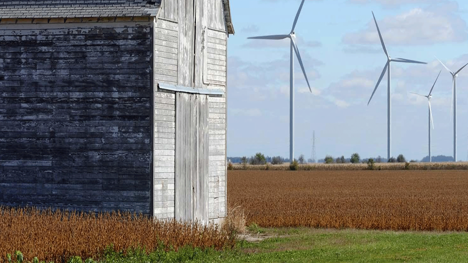 مزرعة الرياح لشركة نستلة من مبادراتها الكربونية لتخفيف الانبعاثات ل في المجال الزراعي