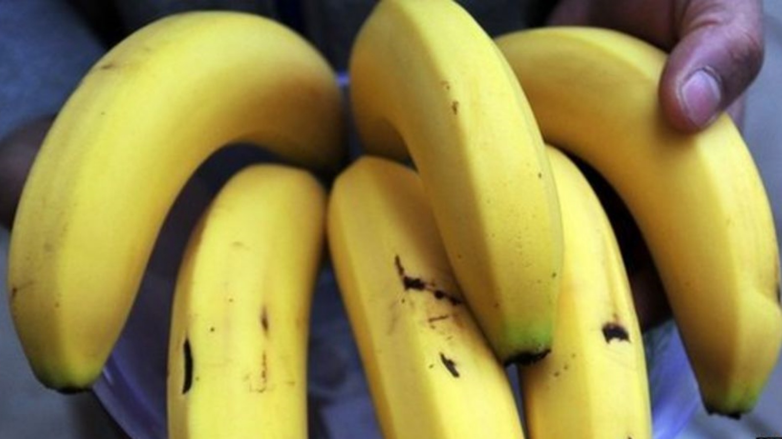 تمكّن فريق دولي من العلماء من إنتاج ثمرة موز معدلة وراثياً 