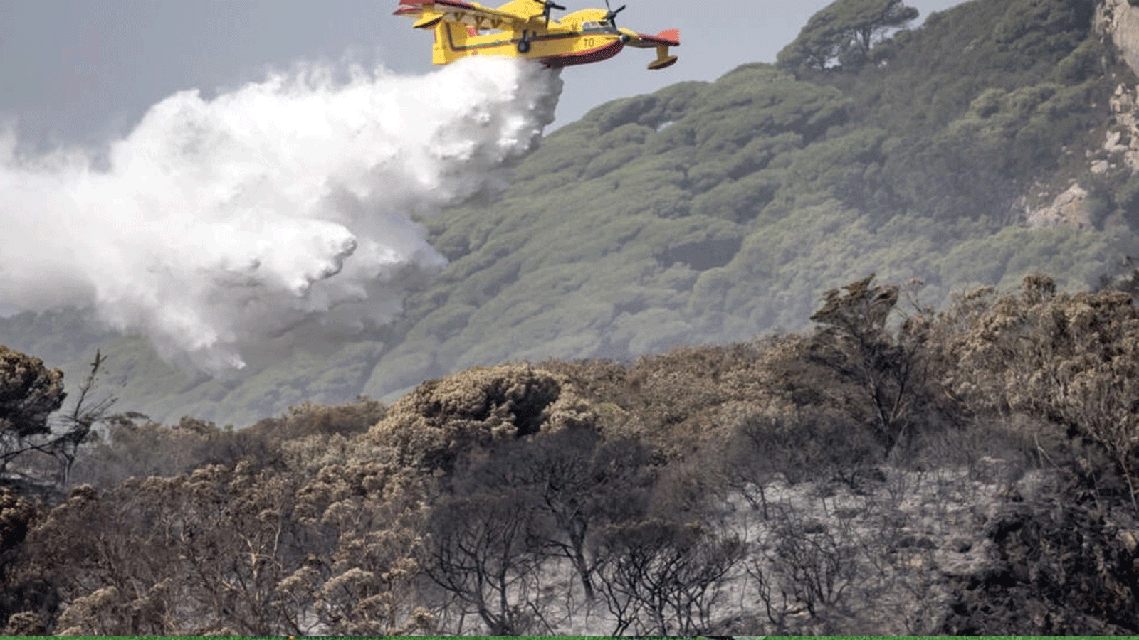طائرة إطفاء تابعة للقوات الجوية الملكية المغربية تخمد حريقًا هائلًا في طنجة