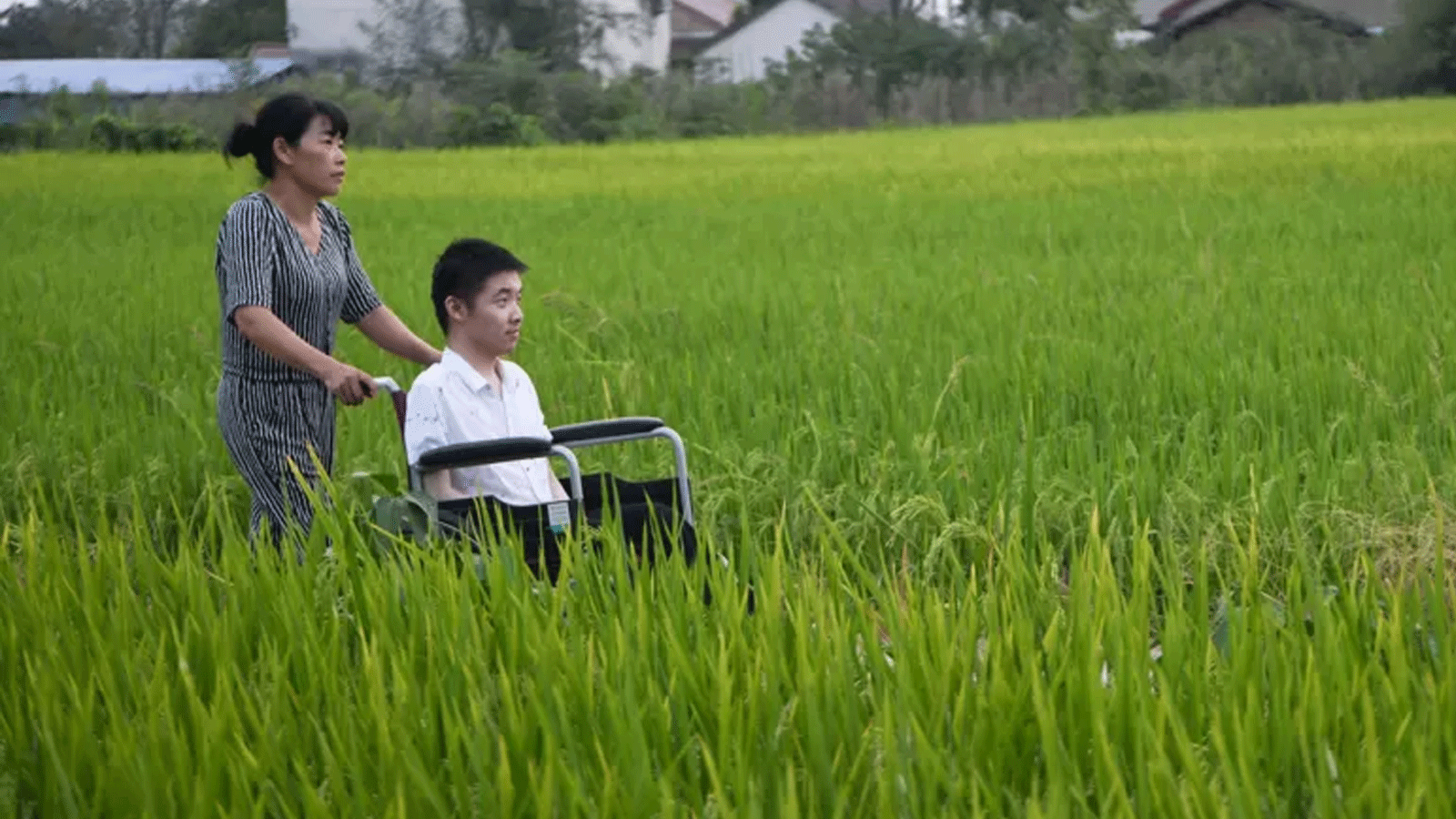 الغموض الذي يكتنف الإصابة بالتصلب الجانبي الضموري