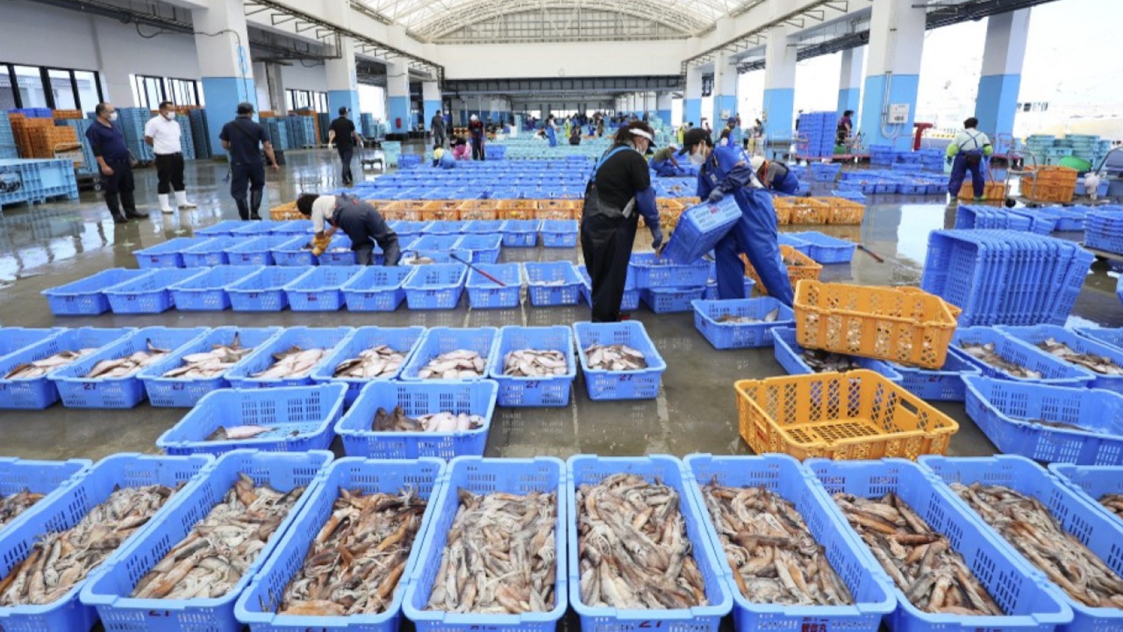 روسيا تعلق جميع واردات المأكولات البحرية من اليابان 