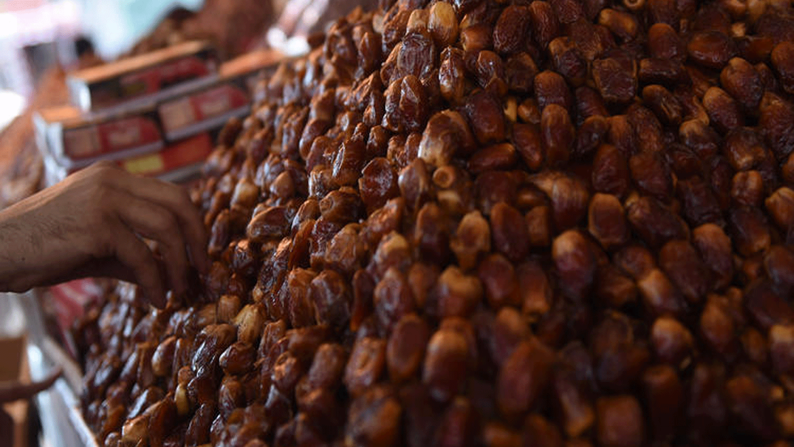 التمور ثمار غنية بالخصائص الغذائية المفيدة لصحة الإنسان