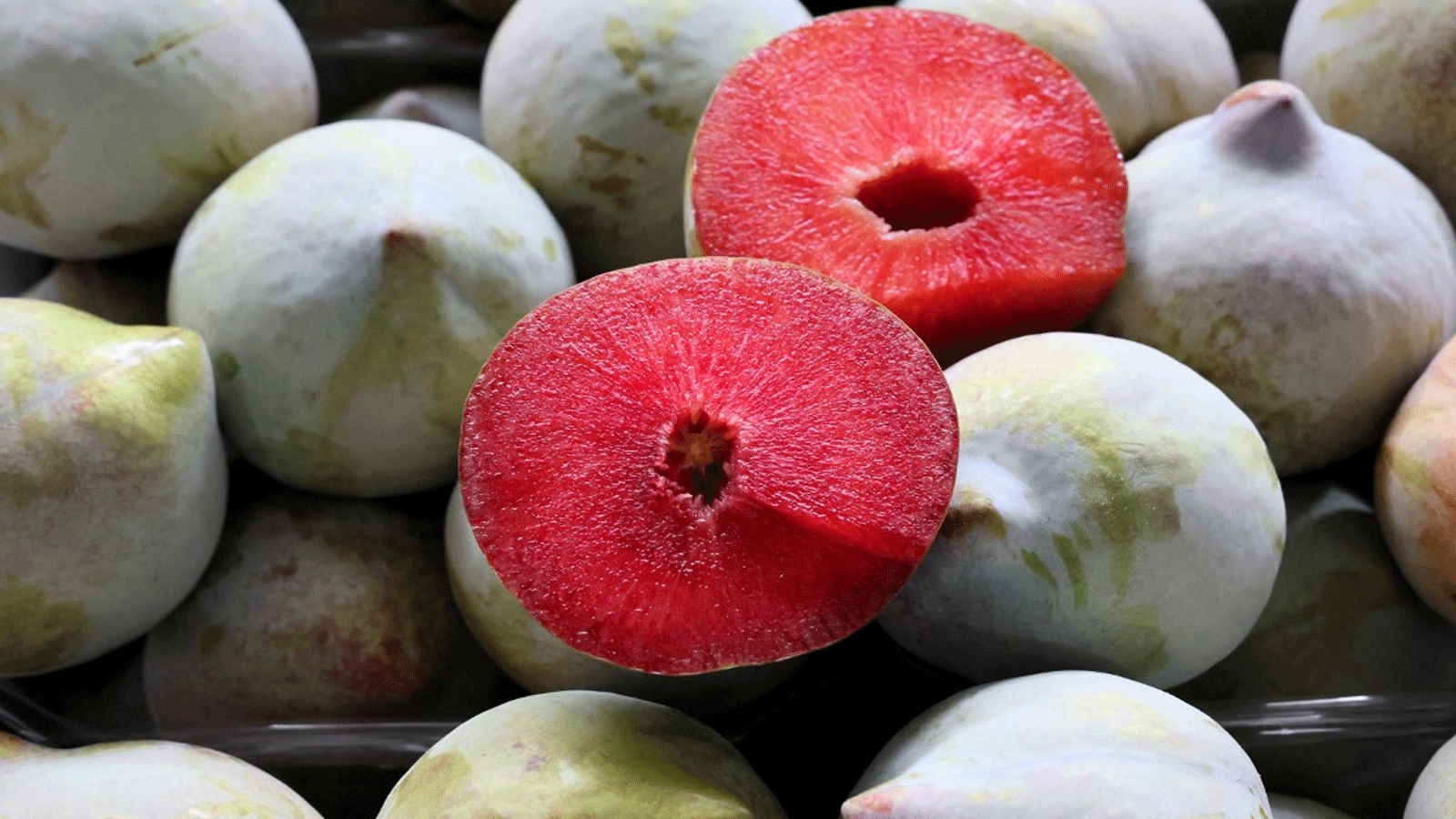 فاكهة البرقوق الغنية بالفوائد لصحة الانسان