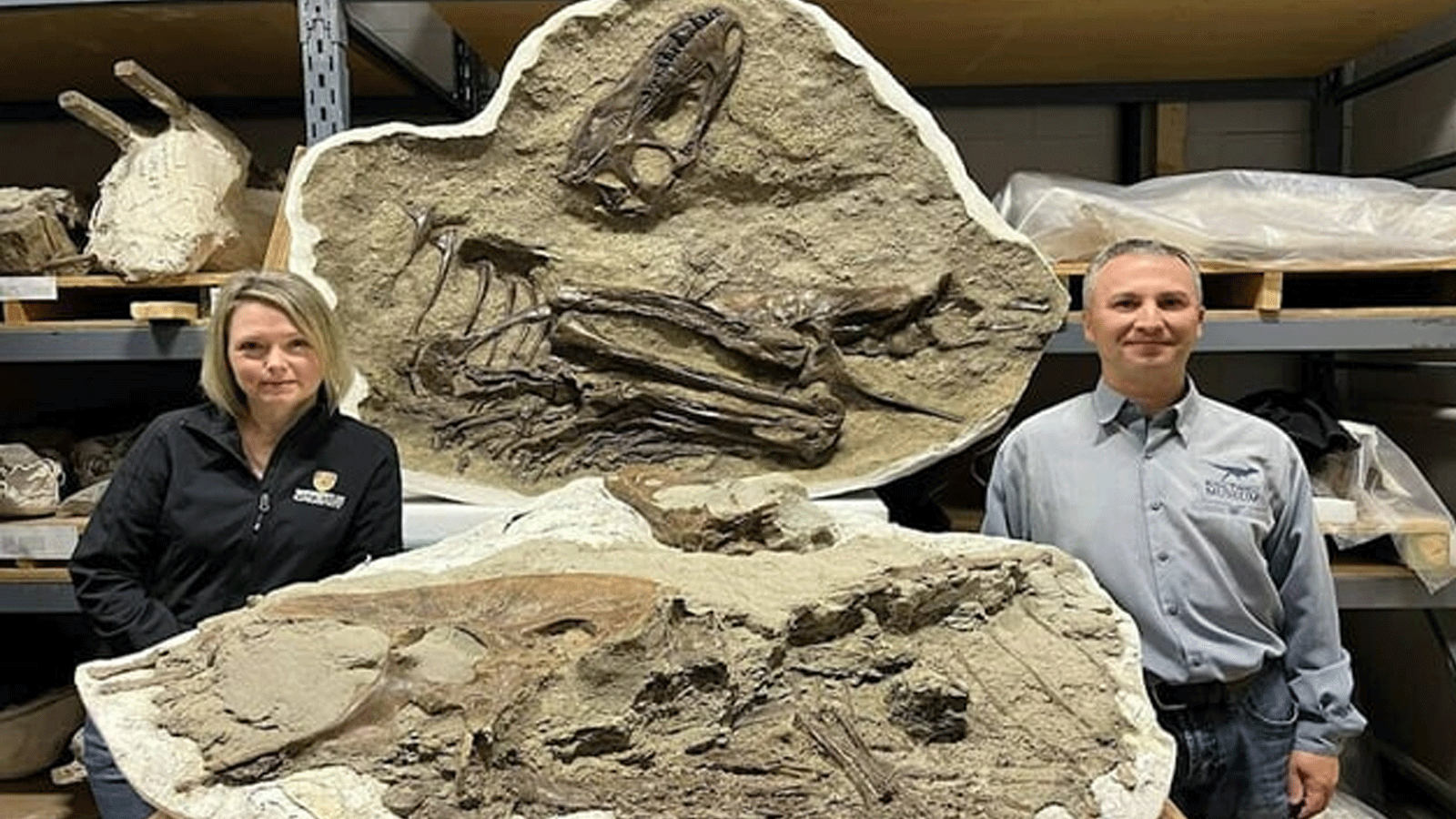 العثور على أول فريسة في معدة تيرانوصور