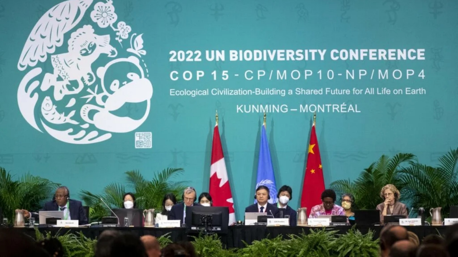 ستتابع قمة COP16 الاتفاق التاريخي الذي تم التوصل إليه في المحادثات الأخيرة في عام 2022 والذي وعد بتأمين 30٪ من الكوكب كمنطقة محمية بحلول عام 2030