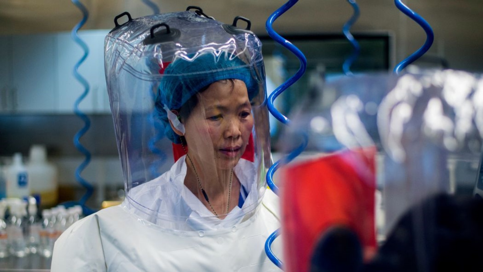 الدكتورة شي جينجلي، التي كان مختبرها في معهد ووهان لعلم الفيروسات مصدرًا مشتبهًا به لفيروس كورونا، في عام 2017