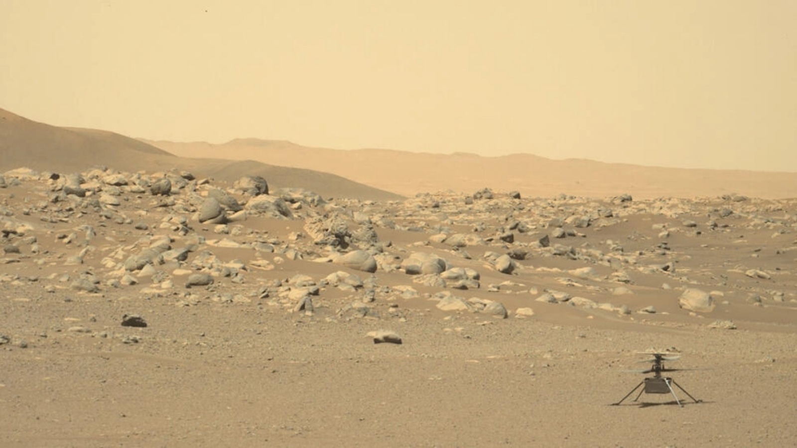 صورة نشرتها وكالة ناسا في 25 تموز (يوليو) 2021 تظهر مروحية إنجينويتي المريخية كما ظهرت عبر كاميرا مدمجة بروبوت 