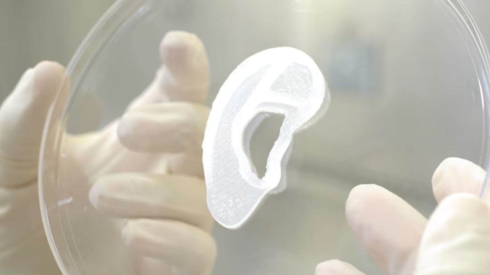 عينة من صناعة الأذن بالكولاجين باستخدام تقنيات الطباعة المجسمة