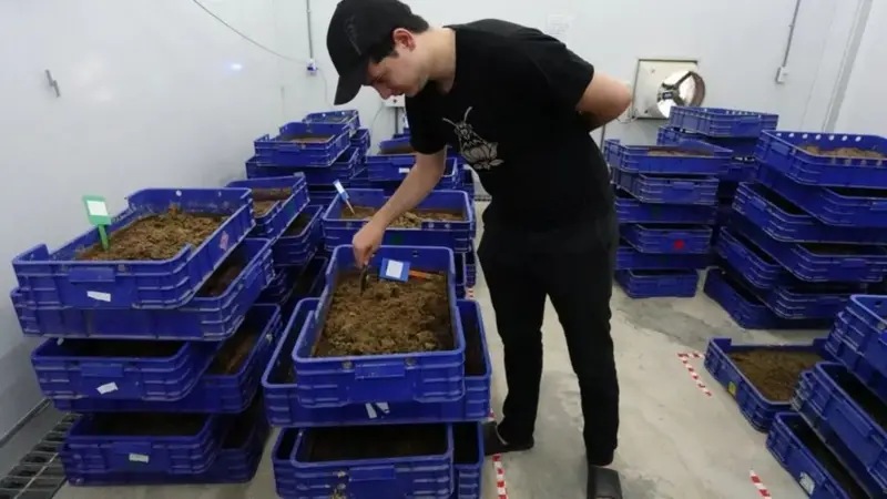 أسس كولينز شركة أطلق عليها "فول سيركل" للتكنولوجيا الحيوية.