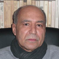 أحمد المديني