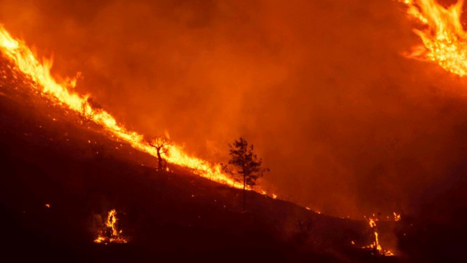 حريق يلتهم أجزاء من منحدرات سلسلة جبال ثرودوس (Throodos) في قبرص