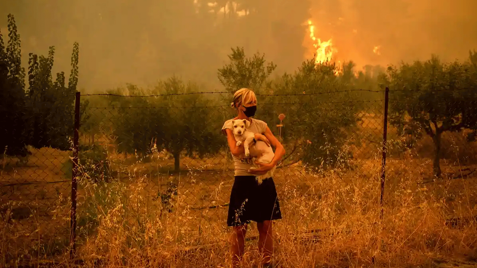 حرائق الغابات تقترب من قرية Pefki في Evia، ثاني أكبر جزيرة في اليونان، في آب\أغسطس خلال أسوأ موجة حرّ منذ عقود.