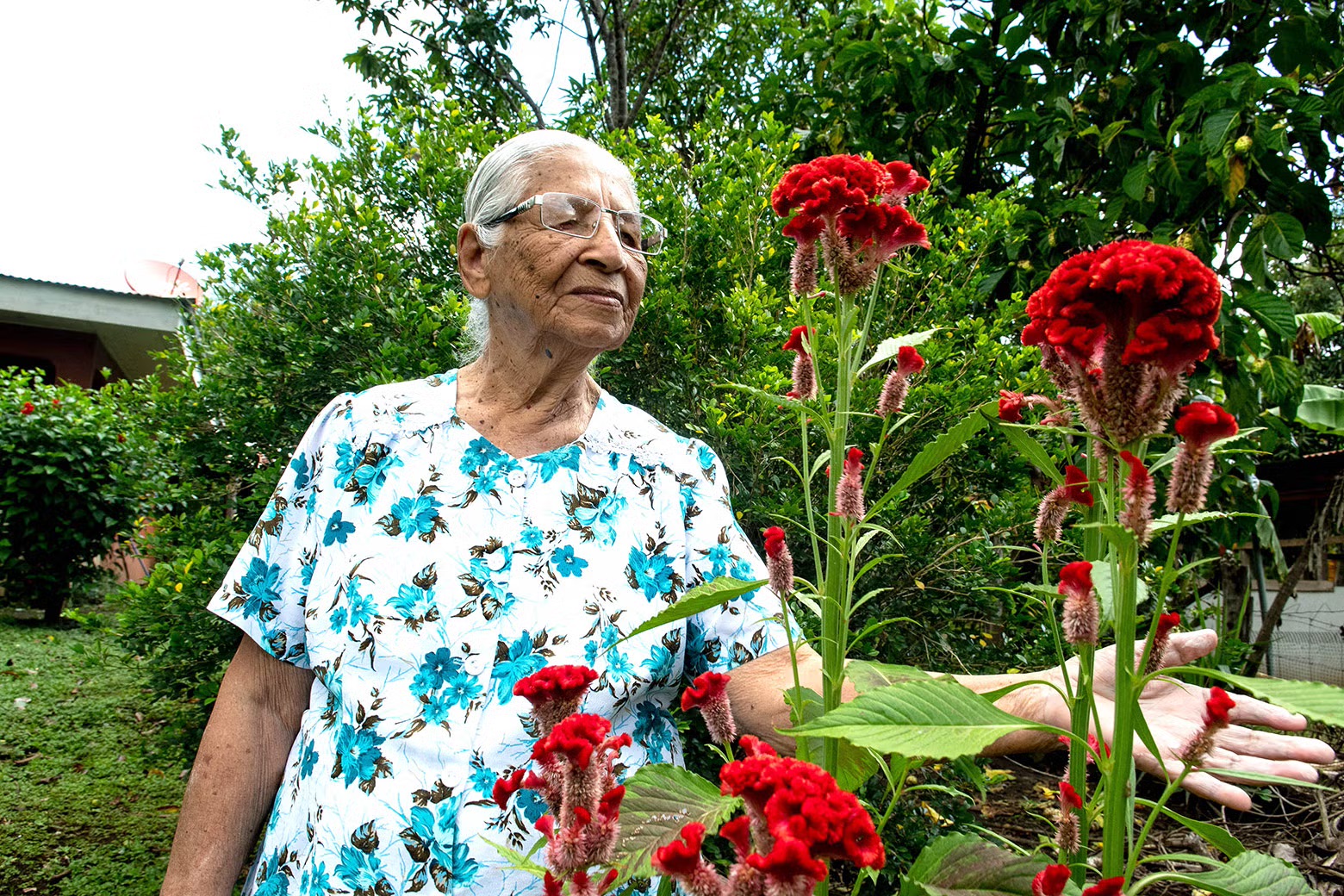 المعمِّرة كليمنتينا إسبينوزا تعتني بحديقتها في نيكويا، كوستاريكا